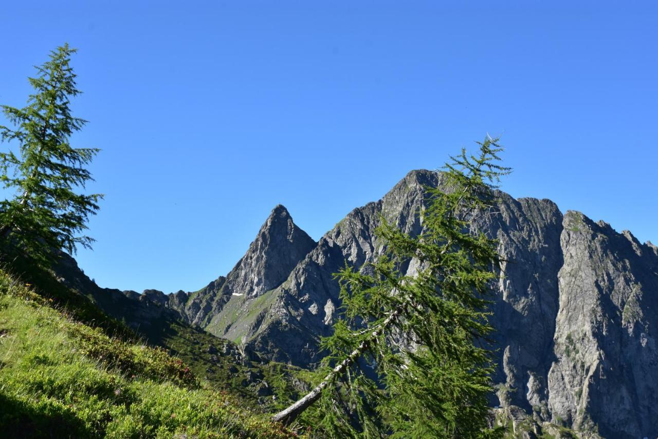 Haus Mortna Daire Liesing Dış mekan fotoğraf